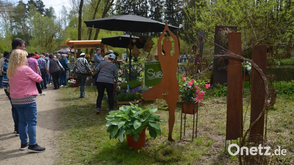Einen richtigen Bilderbuchsonntag erlebten die Besucher beim Gartenmarkt im romantischen Gruberbachtal. Die Freude der Teilnehmer war jedenfalls sehr groß. Es war ein richtiges Paradies für Garten- und Balkonbesitzer. Bild: dob