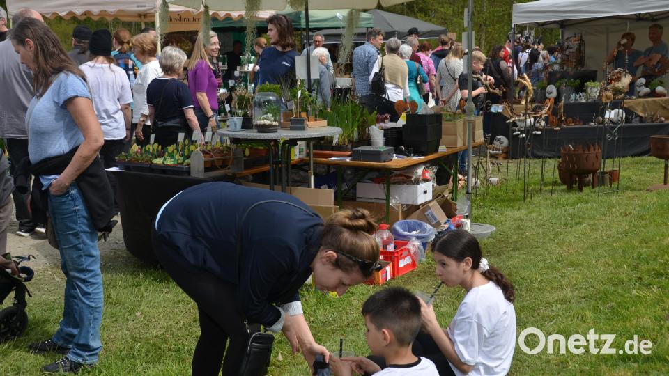 Einen richtigen Bilderbuchsonntag erlebten die Besucher beim Gartenmarkt im romantischen Gruberbachtal. Die Freude der Teilnehmer war jedenfalls sehr groß. Es war ein richtiges Paradies für Garten- und Balkonbesitzer. Bild: dob