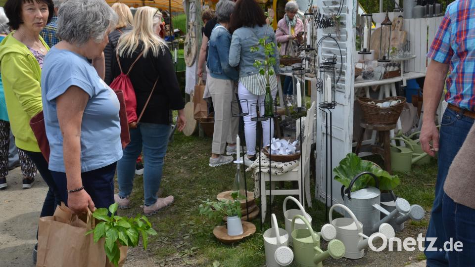 Kleines Gartenfest das Freude macht. Bild: dob