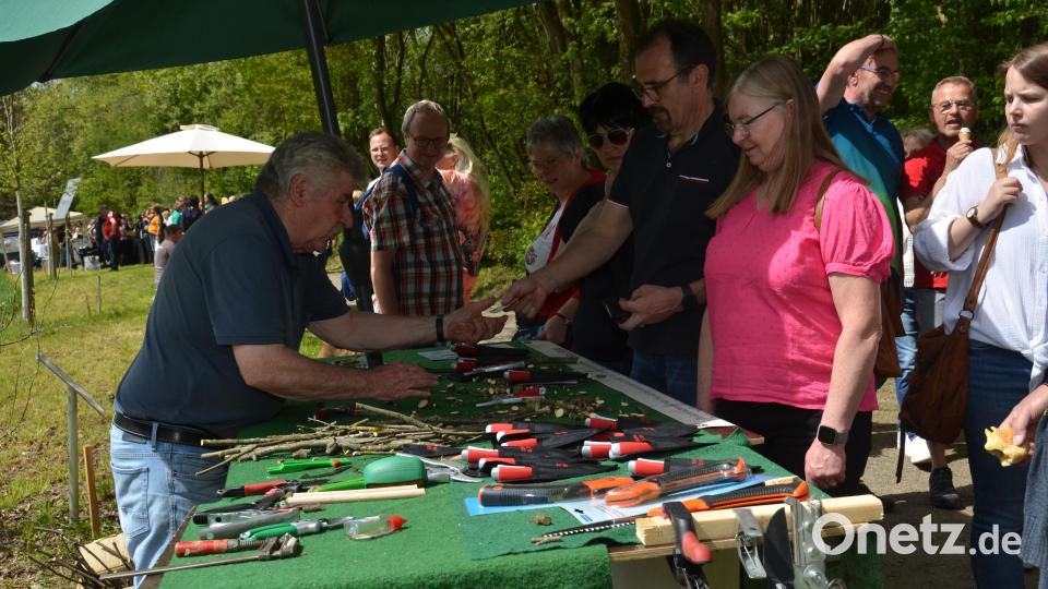 Einen richtigen Bilderbuchsonntag erlebten die Besucher beim Gartenmarkt im romantischen Gruberbachtal. Die Freude der Teilnehmer war jedenfalls sehr groß. Es war ein richtiges Paradies für Garten- und Balkonbesitzer. Bild: dob