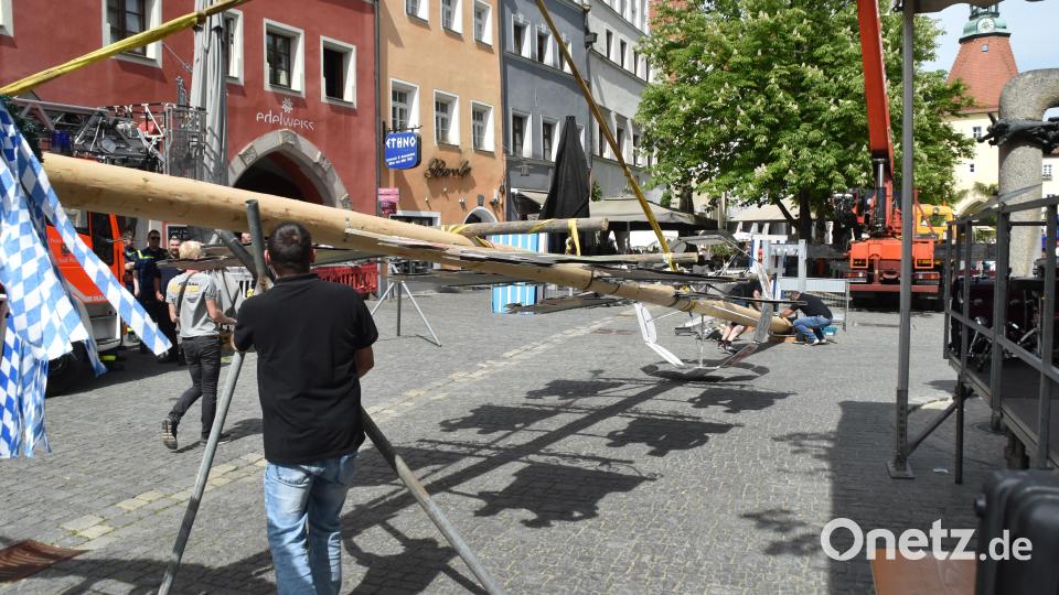 Die Vorbereitung vor dem Aufstellen. Der Heimatring-Maibaum ist dieses Jahr ein &quot;Bio-Baum&quot;, wie Vorsitzender Heiner Vierling sagte. Für einen Anstrich blieb keine Zeit mehr. Nach dem Klau durch die Störnsteiner Burschen ohne Einigung auf eine Auslöse musste schnell ein neuer Baum her. Bild: hcz