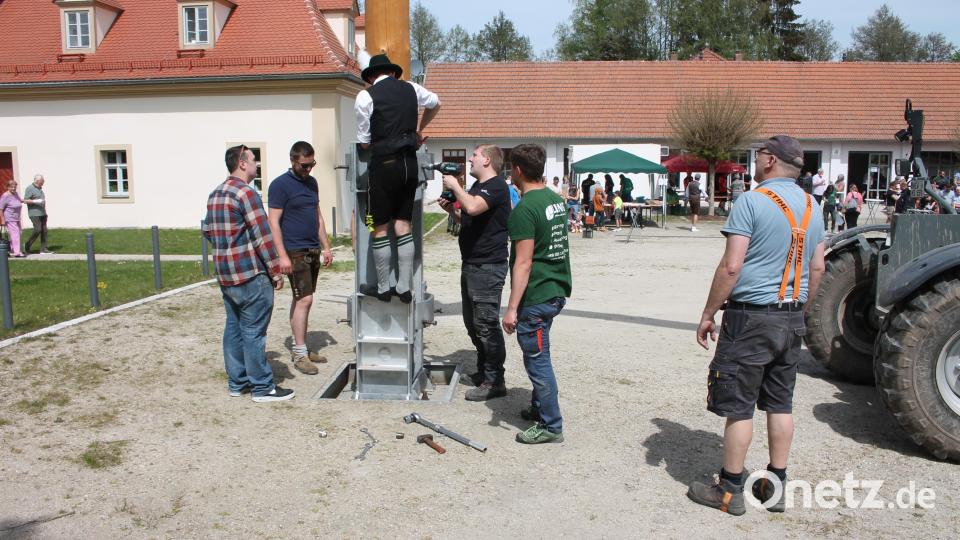 Passt und wackelt nicht: Mit vereinten Kräften verhalfen die Trabitzer Vereine dem 29 Meter hohen Frühlingsbaum zum sicheren Stand auf dem Sägeplatz. Bild: bjp