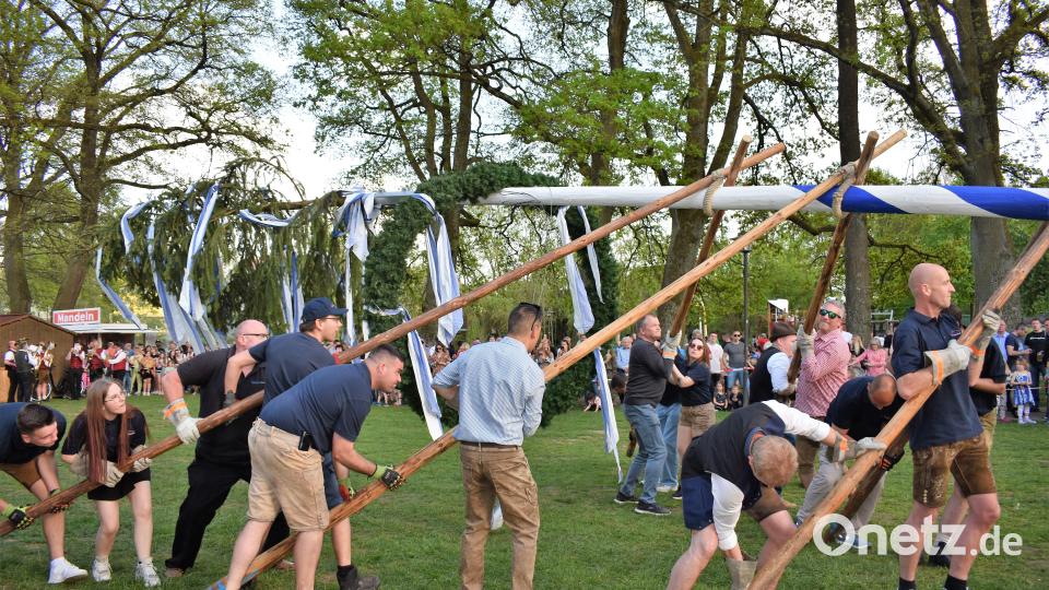 Beim Aufstellen des Maibaumes packen Deutsche und Amerikaner mit an. Bild: rgr