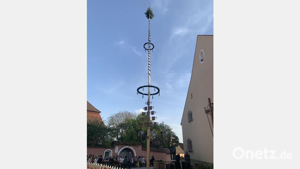 Der 30 Meter hohe Maibaum Bild: tok