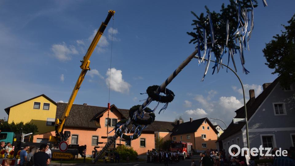 Bei herrlichem Frühlingswetter und vielen Zuschauern wird der Waldthurner Maibaum Stück für Stück in die Senkrechte gebracht. Bild: fla