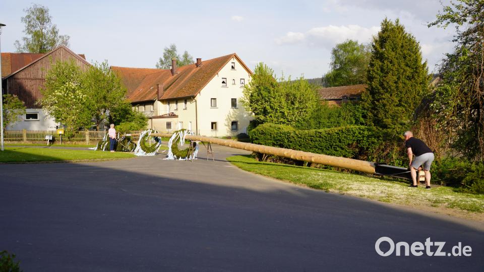 Ruckzuck war der 27 Meter hohe Maibaum in Woppenrieth in Stellung gebracht Bild: Franz Völkl/exb
