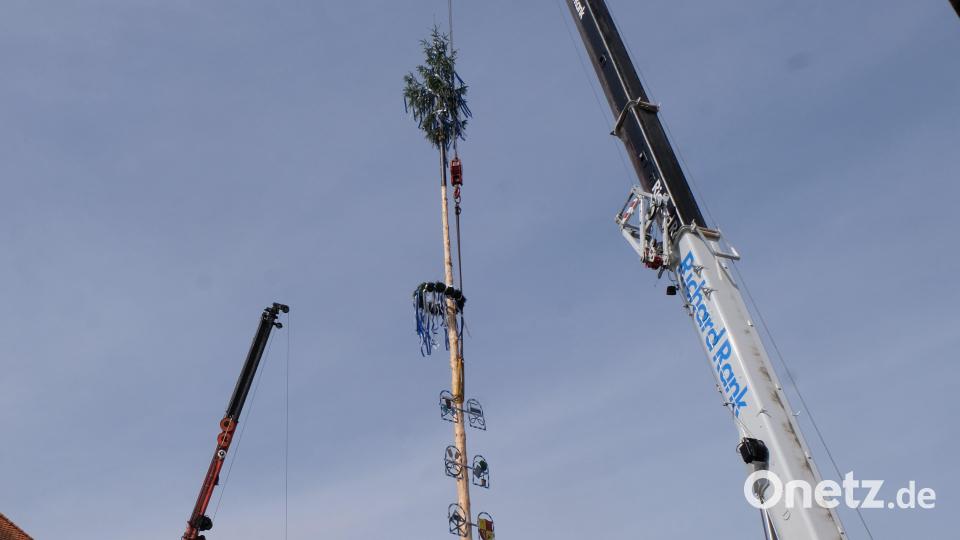 Im Herzen des Marktes Floß hat der Maibaum seinen Platz gefunden. Bild: Fred Lehner/exb