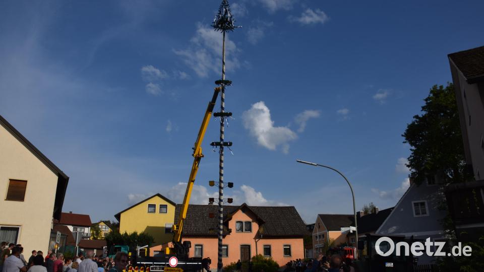 Der Waldthurner Maibaum steht und grüßt ab sofort weit übers Waldthurner Land hinaus. Bild: fla