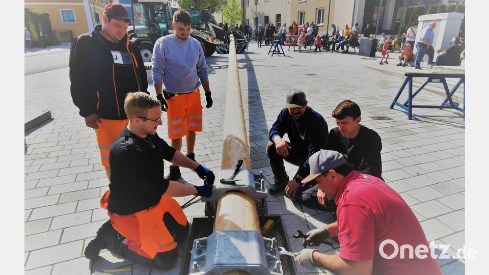 In einer Solidargemeinschaft sorgen Marktrat Georg Zierer (vorne, rechts) und Mitglieder von Feuerwehr und Bauhof für die Befestigung des Maibaums. Bild: gz