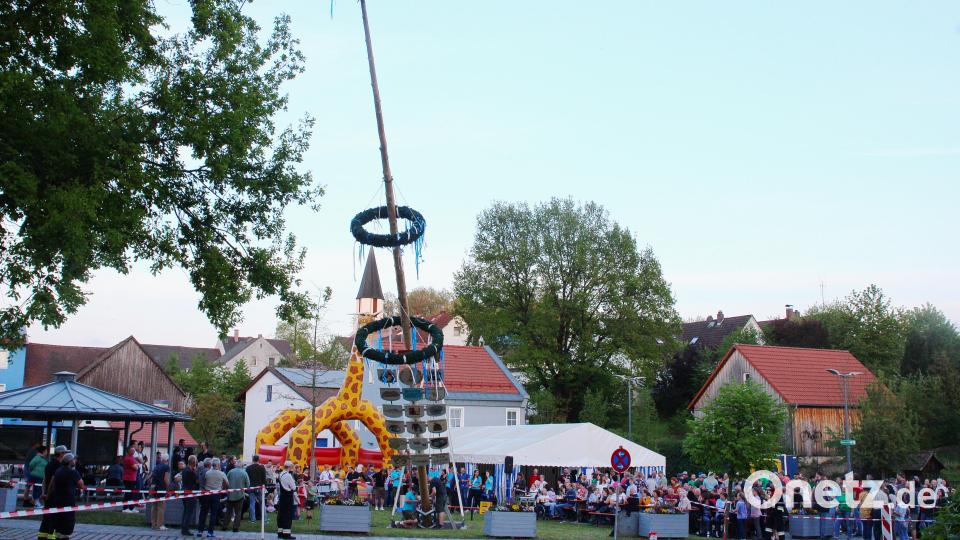 Ein paar Grad fehlen noch für die senkrechte Position des Etzenrichter Maibaumes. Bild: war
