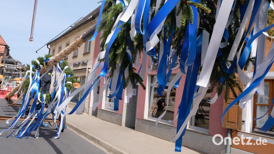 Der Flosser Maibaum auf dem Weg zu seinem Platz. Bild: Fred Lehner/exb