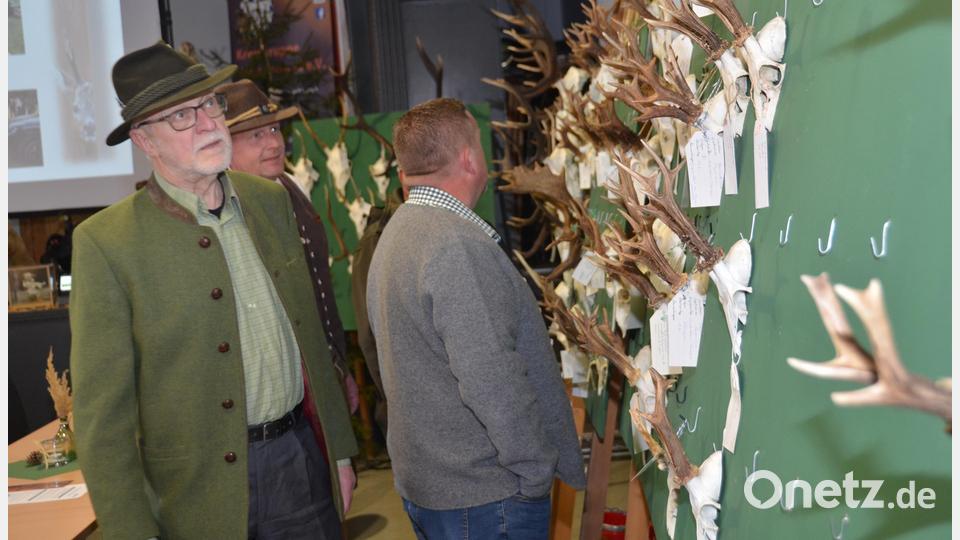 Bei der Hegeschau im Kultursaal in Waidhaus überzeugen sich viele Besucher von der Arbeit der Jäger als Heger und Pfleger des Waldes. Bild: dob