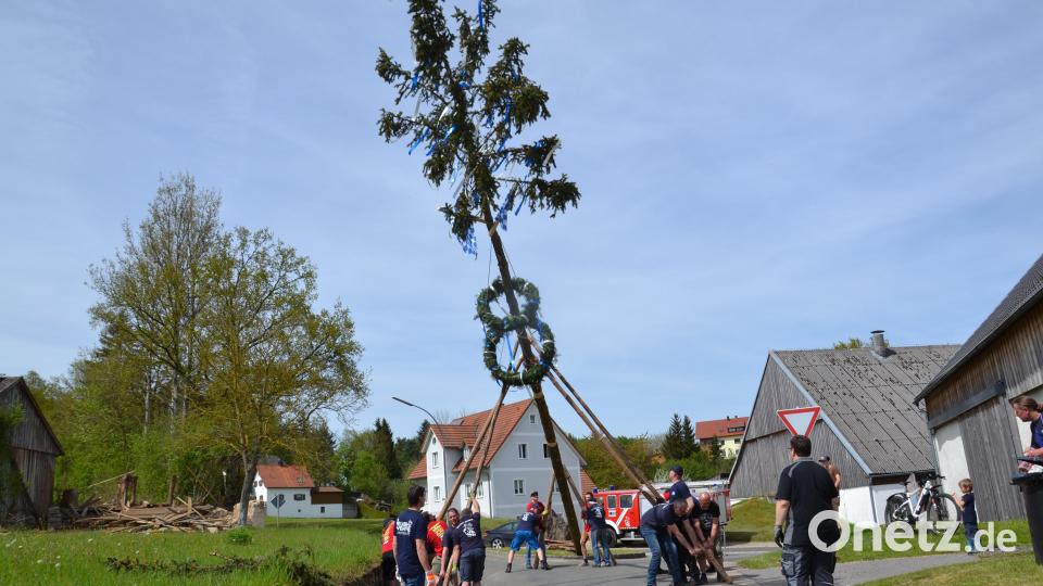 Die Feuerwehr Burgtreswitz stellt ihren Maibaum auf, der mit zwei Kränzen und blau-weißen Bändern geschmückt ist. Bild: gi
