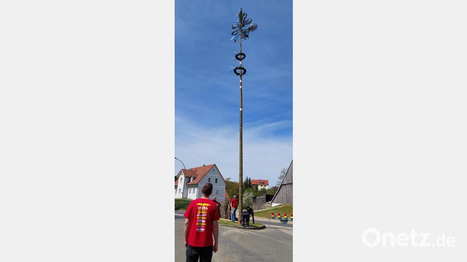 Die Feuerwehr Burgtreswitz stellt ihren Maibaum auf, der mit zwei Kränzen und blau-weißen Bändern geschmückt ist. Bild: gi