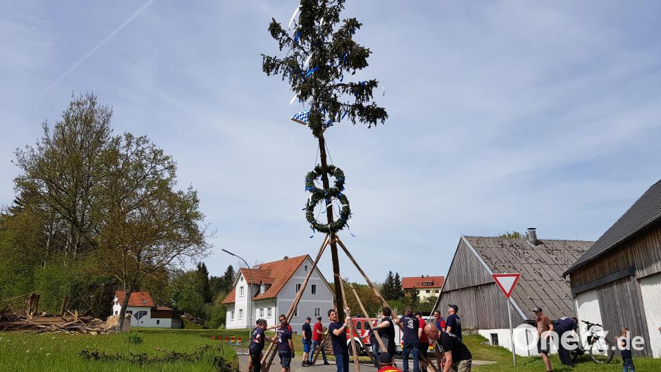 Die Feuerwehr Burgtreswitz stellte ihren Maibaum auf, der mit zwei Kränzen und blau-weißen Bändern geschmückt wurde. Bild: gi