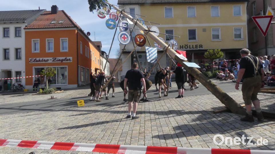Traditionell mit Muskelkraft bringen die Pilots mit tatkräftiger Hilfe einiger Gäste den Maibaum in die Senkrechte. Bild: rn