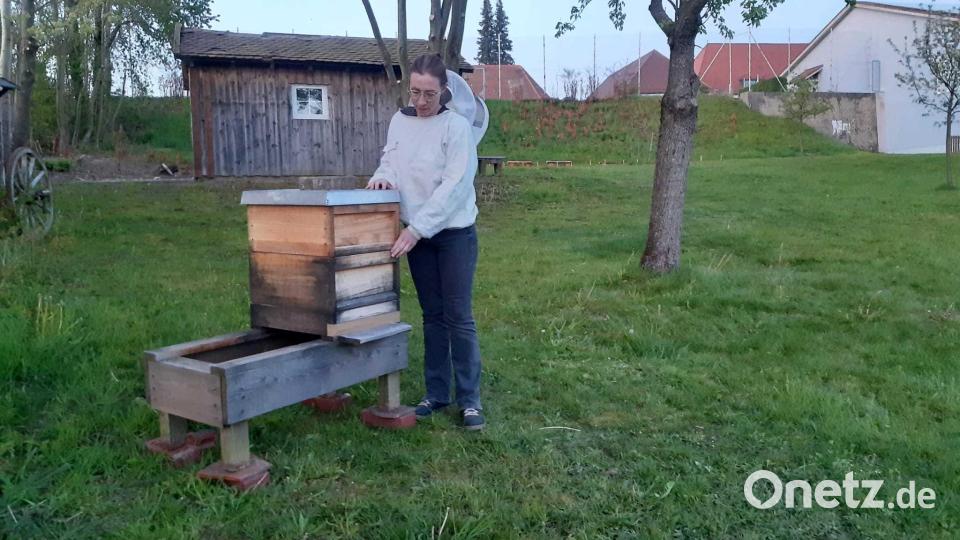 Am Rande des Schulgartens installiert die leidenschaftliche Imkerin Manuela Forster ein Bienenvolk. Bild: gz