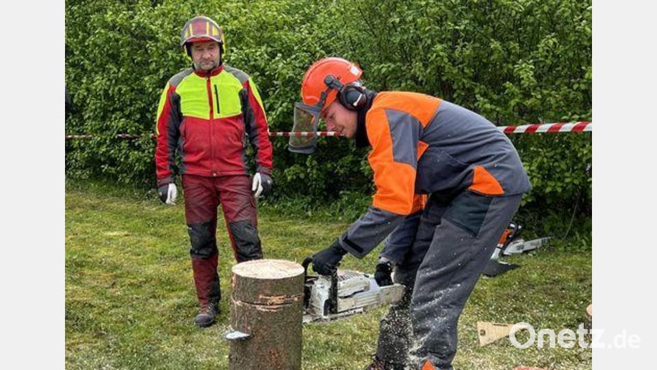 Das Setzen einer Fallkerbe an einem Baumstamm gehört mit zu den schwierigsten Aufgaben. Bild: wrm