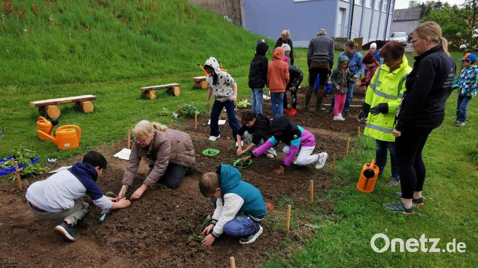 Die Kinder buddeln und pflanzen nach den Tipps von den Übungsleiterinnen Diane Feld (vorne 2.v.l.) und Maria Weber (hinten links). Mit dabei auch Gruppenleiterin Eva-Maria Procher und Acker-Buddy Doris Wild (vorne rechts). Bild: gz