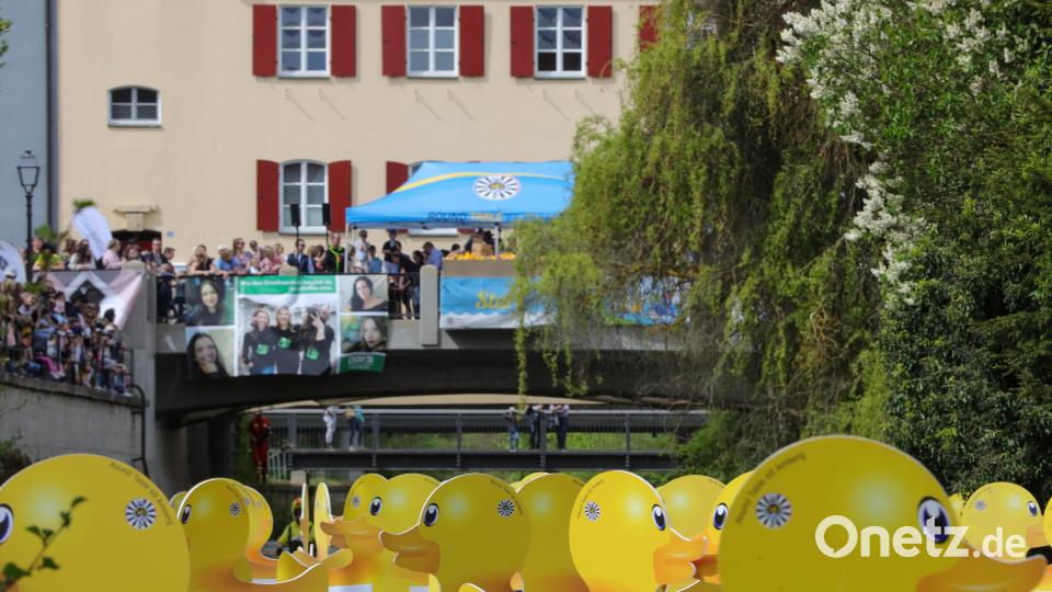 Das Entenrennen war ein Publikumsmagnet und brach Rekorde. Bild: Wolfgang Steinbacher