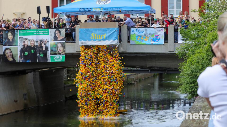 Ein toller Anblick: 9000 Enten regnen in die Vils. Bild: Wolfgang Steinbacher