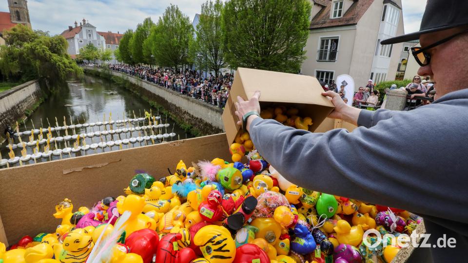 9000 bunte und teils sehr aufwendig verzierte Enten sind am Sonntag zum Entenrennen angetreten. Bild: Wolfgang Steinbacher