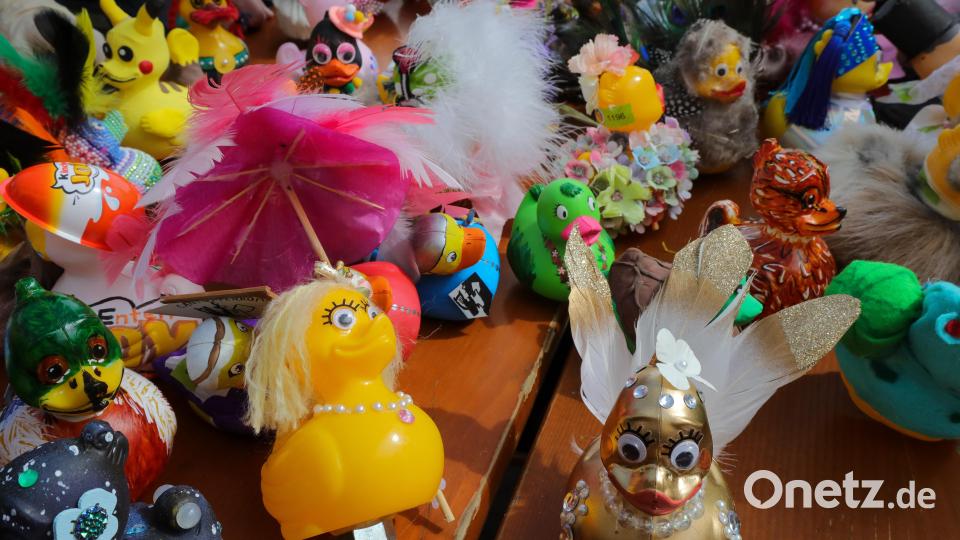 So viele schöne und bunte Enten gab es noch nie. Bild: Wolfgang Steinbacher