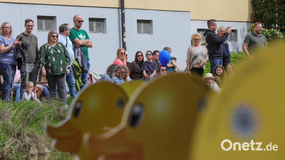 Das Entenrennen war ein Publikumsmagnet und brach Rekorde. Bild: Wolfgang Steinbacher