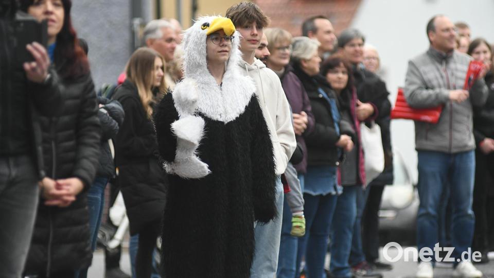 So schön war es beim Nofi-Lauf 2024 in Neustadt/WN. Bild: Gabi Schönberger