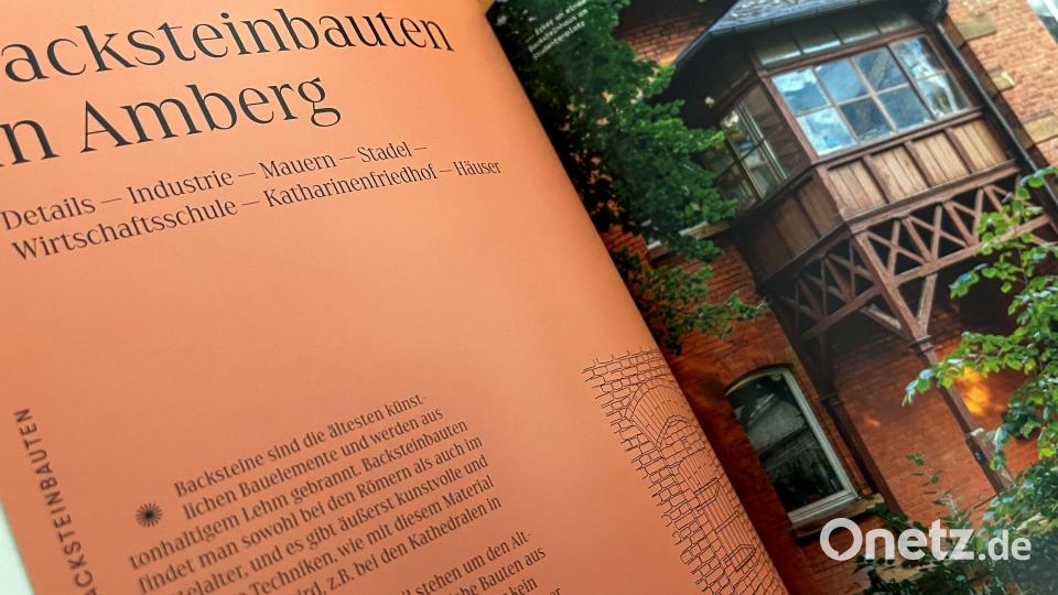 Mit 870 Abbildungen auf 308 Seiten liefert Manfred Wilhelm eine "Liebeserklärung" an Amberg. Bild: Alexander Unger