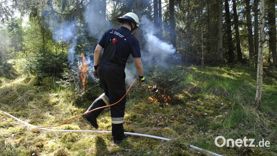 Offenes Feuer im Wald kann sich langanhaltender Trockenheit schnell zu einem großen Waldbrand entwickeln. Bild: wfw