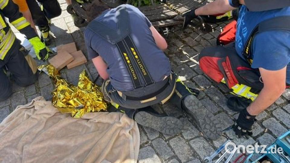 Die Feuerwehr Kelheim-Stadt rettet einen Hund. Bild: Feuerwehr Kelheim-Stadt