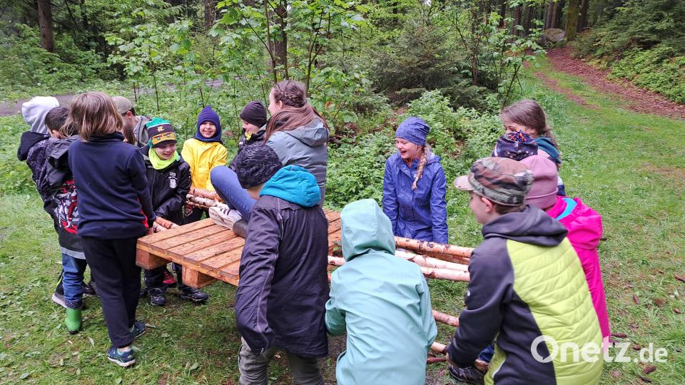 Gemeinsam sind wir stark: die 3b der Erbendorfer Grundschule hat ihre Klassenleiterin Verena Miedl mit Birkenstämmen und einer Palette zwei Meter weit getragen. Bild: Judith Zeitler/exb