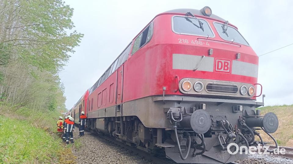 Am Freitagvormittag gab es einen Brand auf der Bahnstrecke zwischen Weiden und Marktredwitz. Der Zug, besetzt mit 50 bis 60 Personen, stoppte bei Reuth bei Erbendorf. Ein technischer Defekt löste einen Brand in der Lok des Zugs aus. Bild: nic