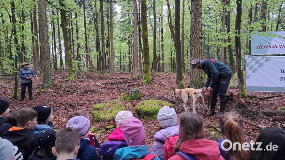 Abschluss-Rollenspiel der Förster vom Landwirtschaftsamt: Annette Schödel geht „Schwammerln“ und Martin Wittmann zeigt den richtigen Waldspaziergang mit Hund Balu. Bild: Judith Zeitler/exb