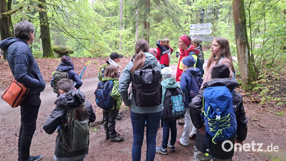 Ein Tag im Wald – die 3b der Grundschule Erbendorf durfte mit Monika Werner vom AELF die Stationen durchlaufen. Bild: Judith Zeitler/exb