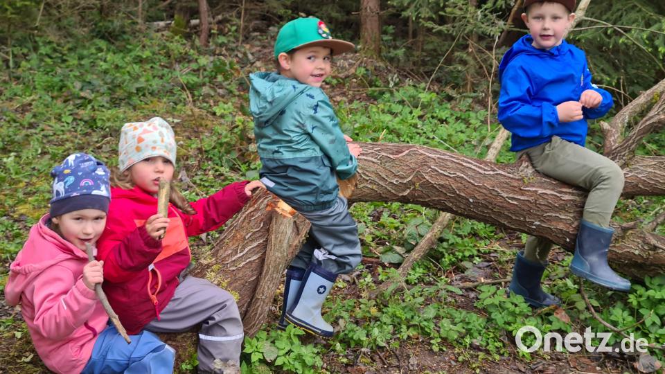 Die Waldtage des Pressather Kindergartens auf der Dreisteinhütte waren für die Kinder eine willkommene Abwechslung im Kindergartenalltag und brachten viele neue Eindrücke Bild: xs