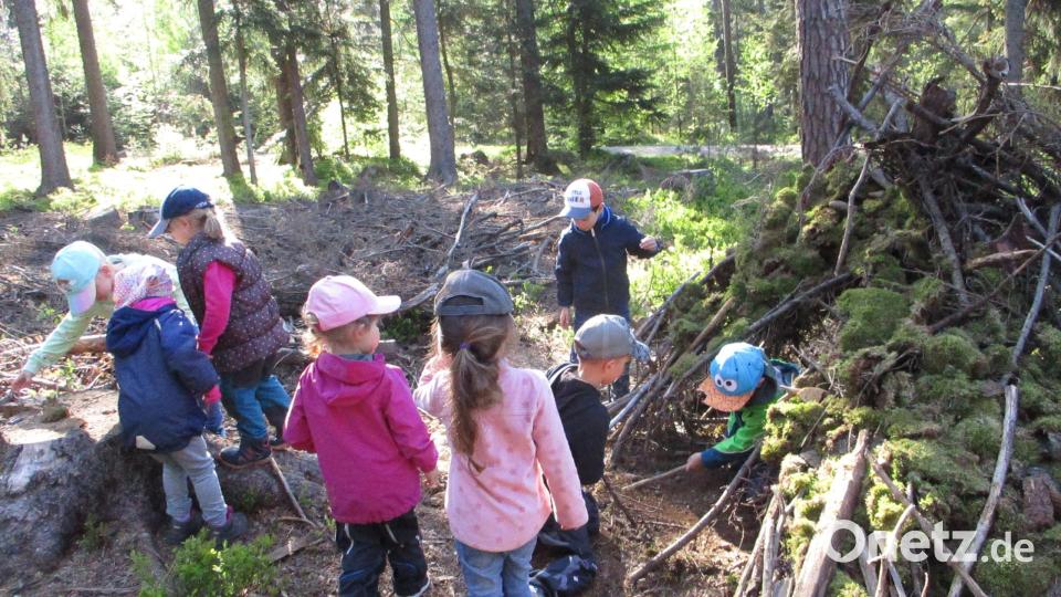 Die Waldtage des Pressather Kindergartens auf der Dreisteinhütte waren für die Kinder eine willkommene Abwechslung im Kindergartenalltag und brachten viele neue Eindrücke Bild: xs