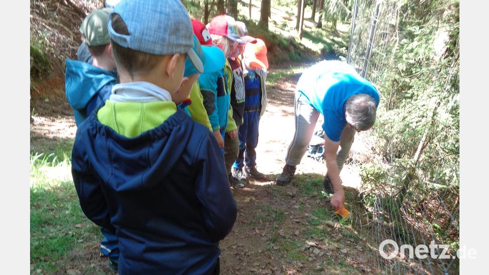 Bei der Waldwoche des Kinderhauses Steinwaldzwerge Pullenreuth gab es viel zu entdecken. Bild: Sabine Schinner/exb