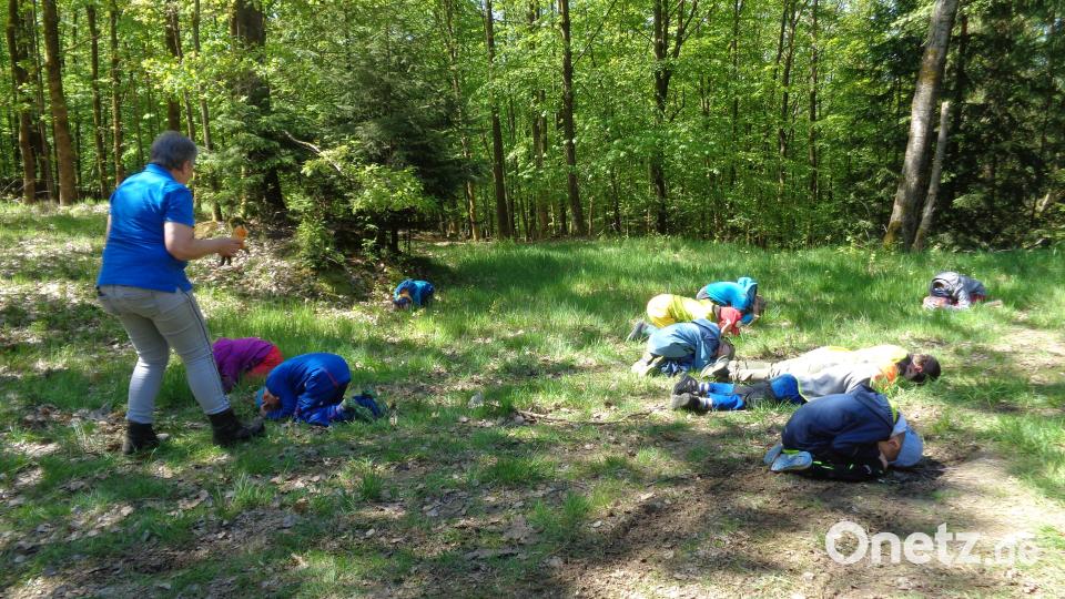 Waldwoche des Kinderhauses Steinwaldzwerge Pullenreuth Bild: Sabine Schinner/exb