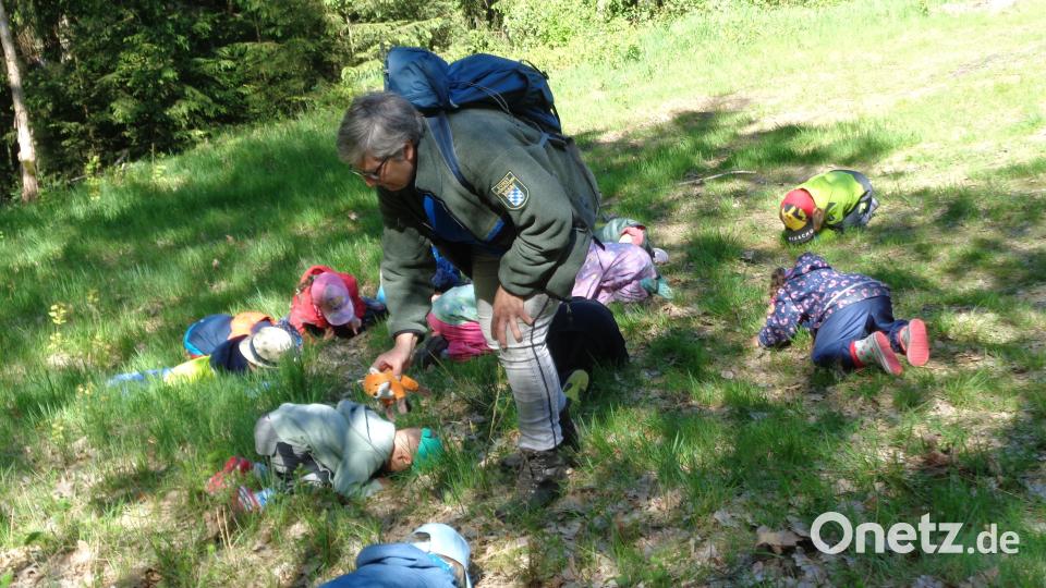 Waldwoche des Kinderhauses Steinwaldzwerge Pullenreuth Bild: Sabine Schinner/exb