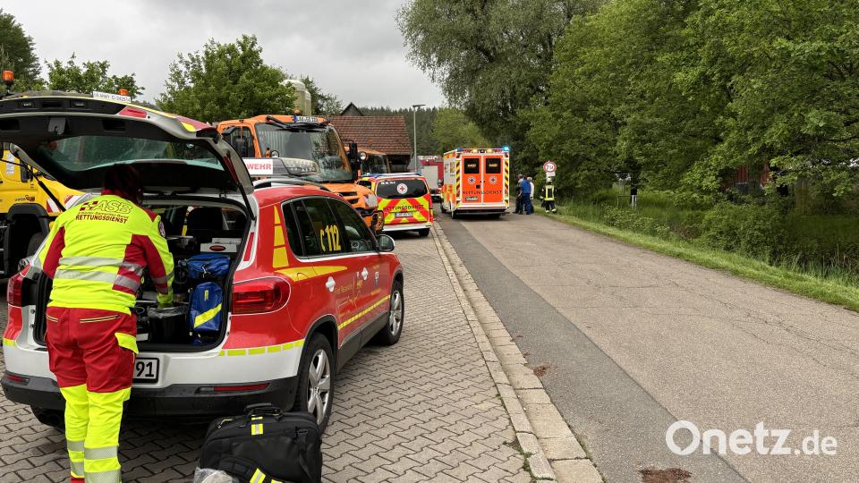 Der Rettungsdienst war mit drei Fahrzeugen vor Ort. Bild: lei