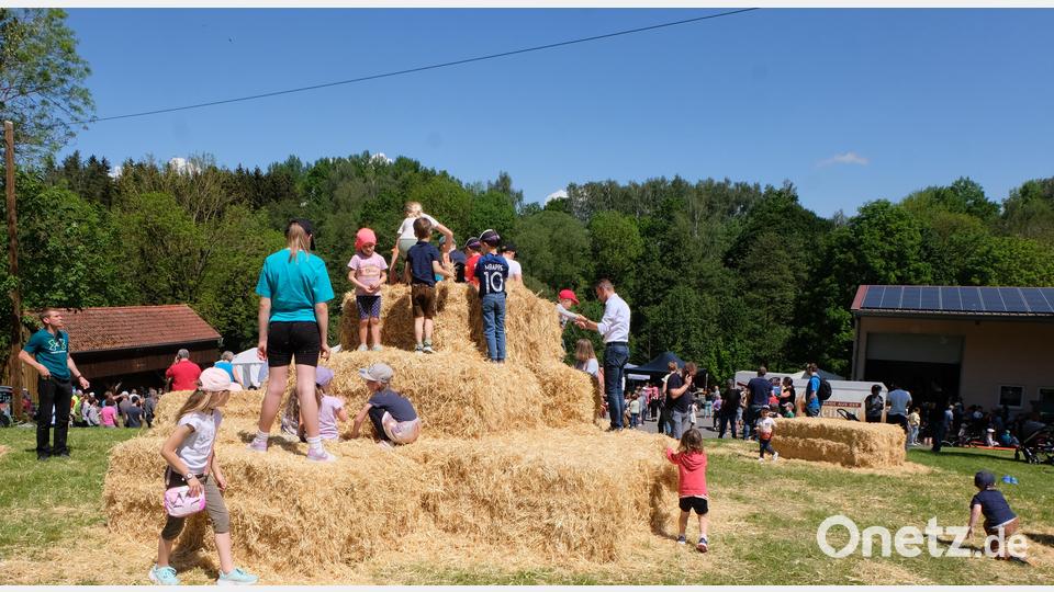 Die Kinder erobern die Strohburg. Bild: le