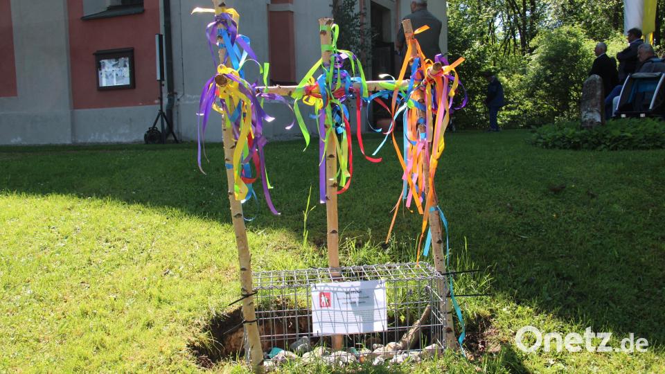 In einem Gabionenkorb werden die von den Lobkowitz-Realschülern mitgebrachten Steine einstweilen aufbewahrt. Sie sollen das Fundament eines geplanten Freiluftaltars vor der Wallfahrtskirche St. Quirin bilden. Bild: prh