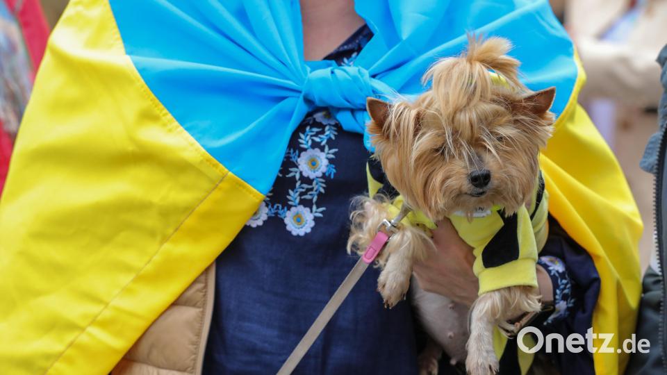 Zum Friedensmarsch durch die Fußgängerzone waren alle willkommen.. Bild: Wolfgang Steinbacher
