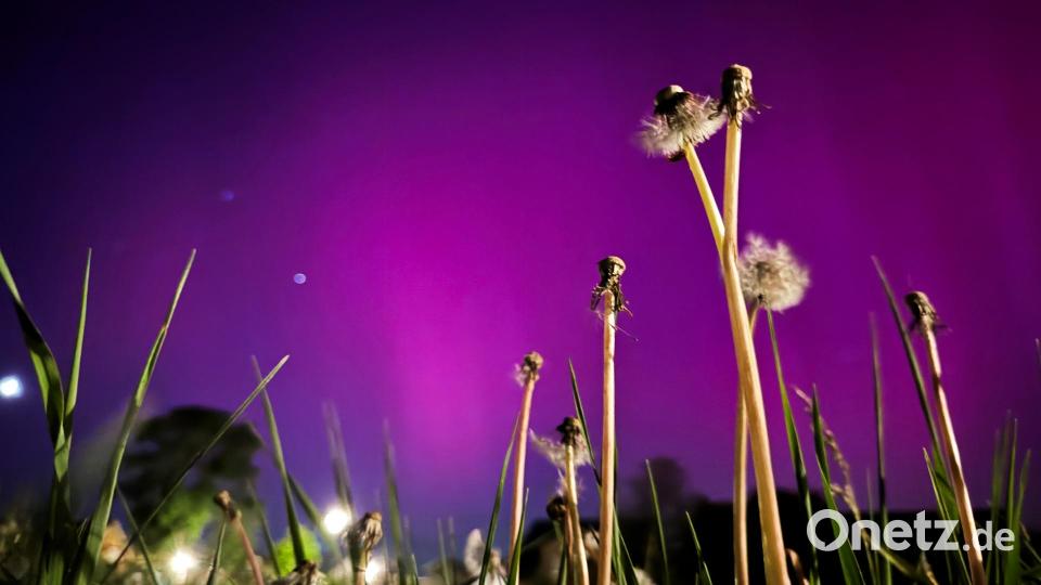 Am Freitagabend waren Polarlichter aber auch über weiten Teilen der Oberpfalz wie hier südlich von Amberg zu sehen. Bild: eik