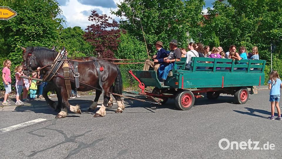Eine Fahrt mit der Pferdekutsche war begehrt. Bild: ASV Reuth/exb