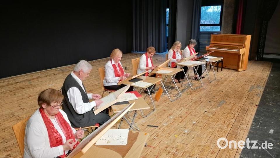 Die Veeh-Harfengruppe der Kreismusikschule Tirschenreuth. Archivbild: Kreismusikschule Tirschenreuth/exb