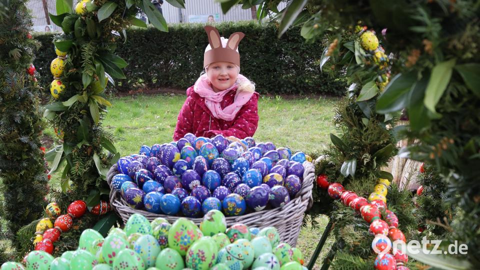 So viele Eier! Bild: mfh