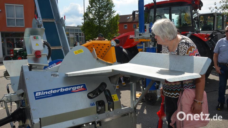 Diese Dame interessiert sich für Holzmachen wie am Fließband. Bild: dob